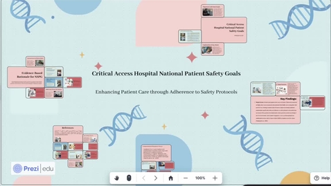 Thumbnail for Critical Access Hospital National Patient Safety Goals