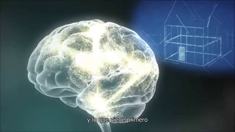 Thumbnail for 1. Las Experiencias Construyen la Arquitectura Cerebral