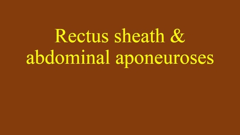 Thumbnail for entry Rectus Sheath