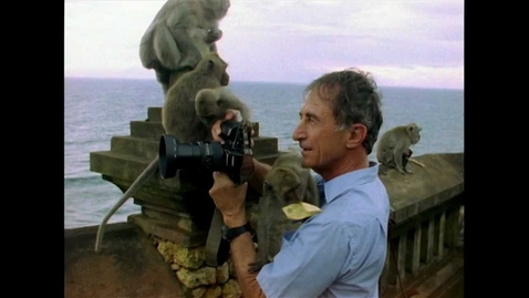 Thumbnail for Primates-the Prosimians and Monkeys