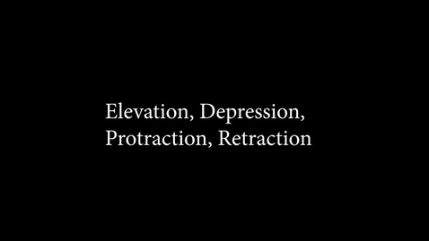 Thumbnail for entry Elevation, Depression, Protraction, Retraction