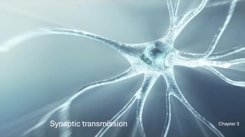 Thumbnail for PSY2710online_synaptic2