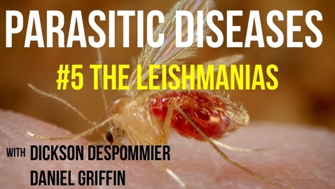Thumbnail for entry Parasitic Diseases Lectures #5: The Leishmanias - Quiz