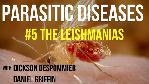 Thumbnail for Parasitic Diseases Lectures #5: The Leishmanias - Quiz