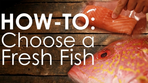 Thumbnail for entry How-to Choose Fresh Fish