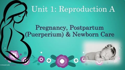Thumbnail for Unit 1 Recorded Lecture Part 1 Pregnancy