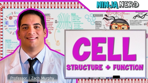 Thumbnail for Cell Biology | Cell Structure &amp; Function