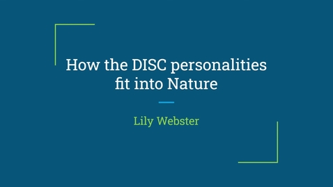 Thumbnail for DISC Personality Project