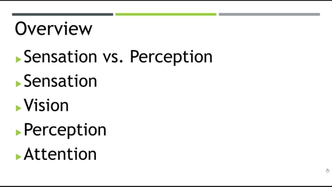 Thumbnail for Sensation &amp; Perception Part 1 - Quiz