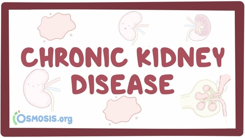 Thumbnail for entry HTHS 1101 F11-03 Chronic Kidney Disease Video with Questions
