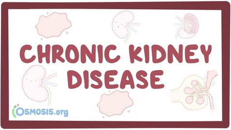 Thumbnail for HTHS 1101 F11-03 Chronic Kidney Disease Video with Questions