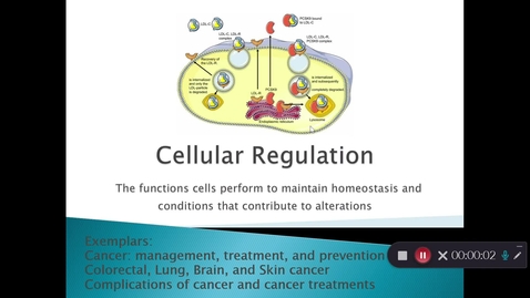 Thumbnail for Unit 11 power-point recording