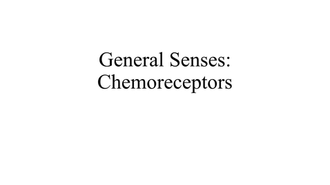 Thumbnail for entry General Senses (chemoreceptors) movie