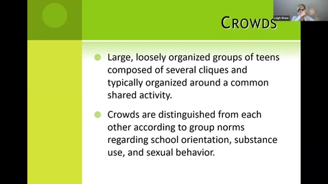 Thumbnail for Crowds and Peer Conformity