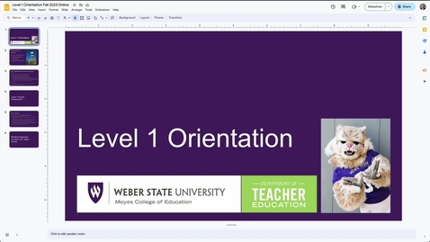 Thumbnail for Level 1 Practicum Video