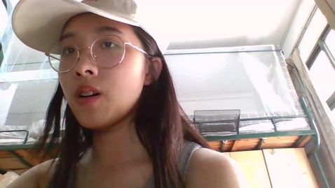 Thumbnail for Kaltura Capture recording - May 15th 2023, 10:24:35 pm
