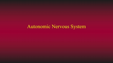 Thumbnail for entry Nervous system (ans) hybrid