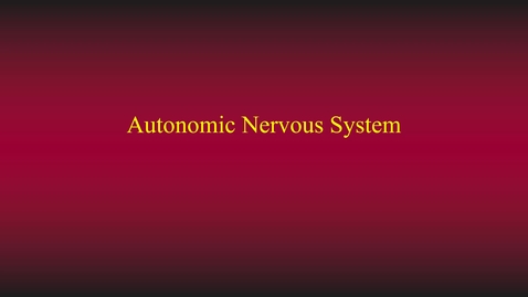 Thumbnail for Nervous system (ans) hybrid