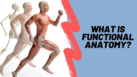 Thumbnail for Learn Functional Anatomy To Design Better Exercises