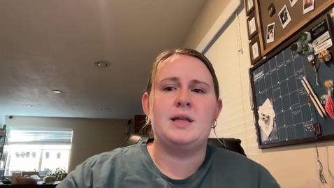 Thumbnail for Video Recording - Sun Jan 25 2026 15:37:26 GMT-0700 (Mountain Standard Time)