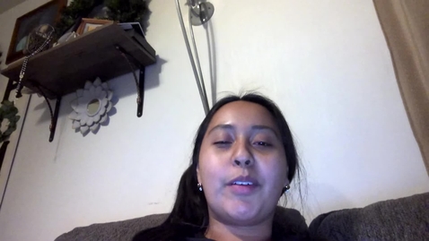 Thumbnail for Video Recording - Mon Feb 24 2025 19:36:22 GMT-0700 (Mountain Standard Time)
