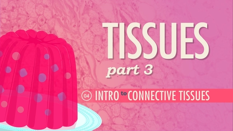 Thumbnail for entry HTHS 1110 F07-05: Tissues #3 Features of Connective Tissue Video with Questions