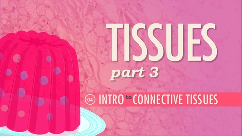 Thumbnail for HTHS 1110 F07-05: Tissues #3 Features of Connective Tissue Video with Questions