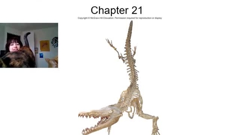 Thumbnail for Ch 21 lecture 03.23.20 recording