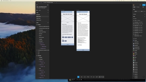 Thumbnail for 2620 - Figma Walkthrough with Expectations