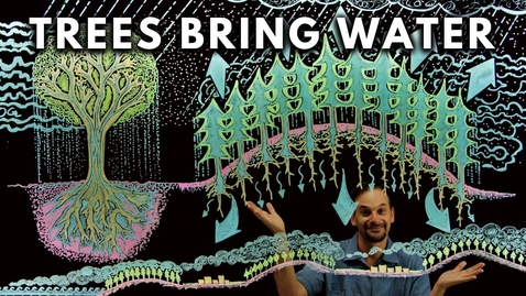 Thumbnail for How Trees Bring Water