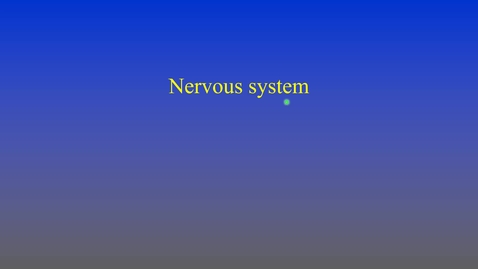 Thumbnail for entry Nervous system (lecture)