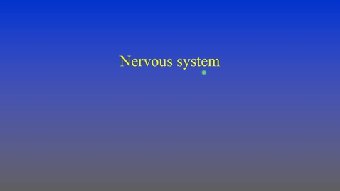 Thumbnail for Nervous system (lecture)