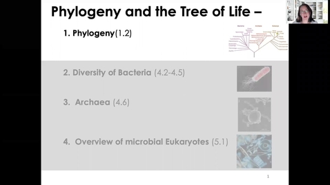 Thumbnail for entry MICR3154_Wk3_Phylogeny_Twing.mp4