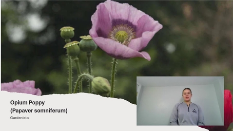 Thumbnail for Botany Signature Assignment