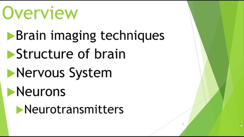 Thumbnail for Brain &amp; Nervous System Part 1 - Quiz