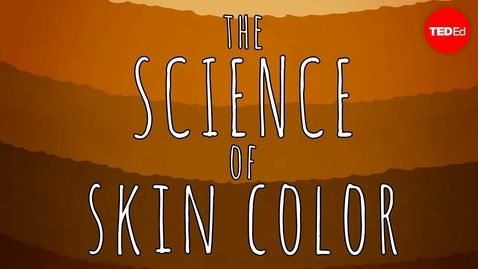 Thumbnail for HTHS 1110 F08-03: Skin Pigment Video with Questions