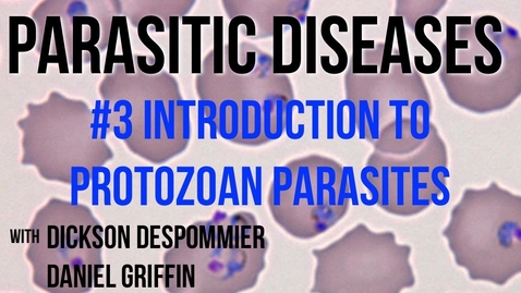 Thumbnail for entry Parasitic Diseases Lectures #3: Introduction to Protozoan Parasites - Quiz