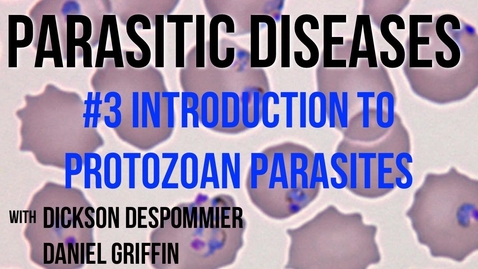 Thumbnail for Parasitic Diseases Lectures #3: Introduction to Protozoan Parasites - Quiz