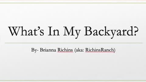 Thumbnail for Whatsinmybackyard