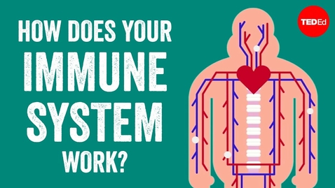 Thumbnail for entry HTHS 1111 F15-8a: How Does Your Immune System Work? Video with Questions