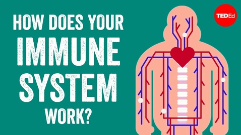 Thumbnail for HTHS 1111 F15-8a: How Does Your Immune System Work? Video with Questions