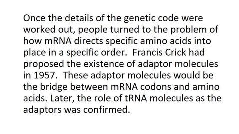 Thumbnail for entry BTNY3303-GeneExpression_Part 3- March 21, 2022