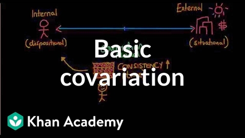 Thumbnail for Attribution Theory - Basic covariation | Individuals and Society | MCAT | Khan Academy