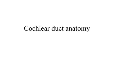 Thumbnail for Cochlear duct anatomy movie
