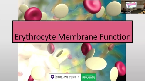 Thumbnail for 5 Erythrocyte Membrane Function 2025