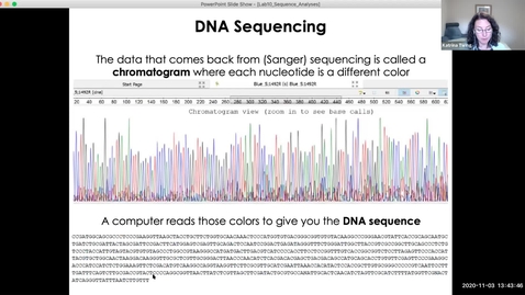 Thumbnail for Lab 10 - UGENE chromatogram editing