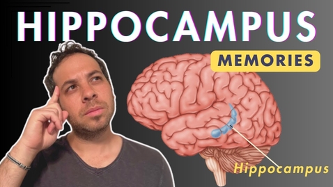 Thumbnail for Hippocampus and Memories