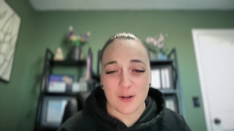 Thumbnail for Video Recording - Sun Jan 12 2025 16:37:42 GMT-0700 (Mountain Standard Time)
