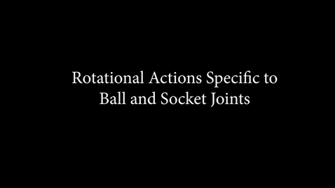 Thumbnail for Rotational Actions Specific to Ball and Socket Joints