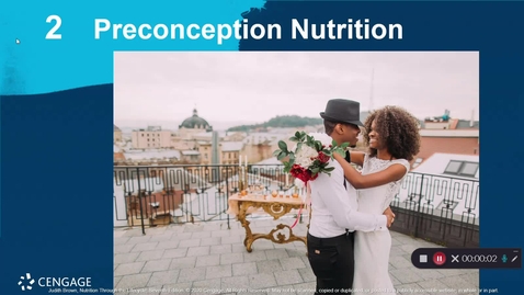 Thumbnail for entry Nutrition 2020: Ch 2 Preconception Video Summary